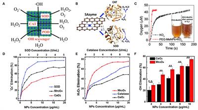 Rational Design and Biological Application of Antioxidant Nanozymes